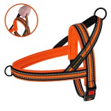 Bronzedog     Mesh  ,  S   30 .   32-38 .