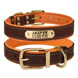 Bronzedog      Premium       -.  M   33-43 .  2 .
