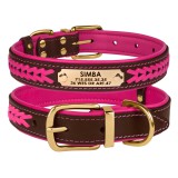 Bronzedog      Premium       -.  XL   43-56 .  3 .