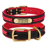 Bronzedog      Premium       -.  XL   43-56 .  3 .