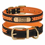 Bronzedog      Premium       -.  M   33-43 .  2 .