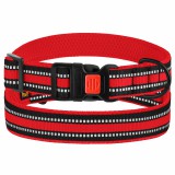 Bronzedog     Mesh c   ,  S   25-33 .  2 .