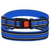 Bronzedog     Mesh c   ,  S   25-33 .  2 .