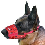 Bronzedog       .  M   19-26  (  )