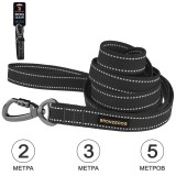 Bronzedog     otton  /  .  S(2)  300 .  1,6 .