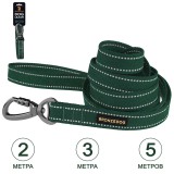 Bronzedog     otton  /  .  L(1)  200 .  2,5 .