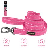 Bronzedog     otton  /  .  M(1)  200 .  2 .