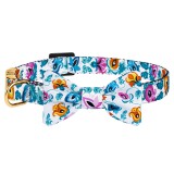 Bronzedog   Urban Folk        .  XS  8 .  4 . -  6