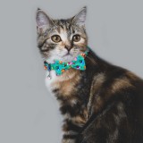 Bronzedog   Urban Folk        .  L  12,5 .  7 . -  2