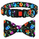 Bronzedog   Urban Folk        .  S  9,5 .  5,5 . -  7