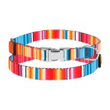 Bronzedog Ошейник для Собак Мелких Пород Urban West Нейлоновый c Металлической Пряжкой Красный. Размер ХS Обхват шеи 18-28 см. Ширина 1 см.