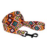 Bronzedog     Urban   .  M  152 .  2 .
