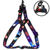 Bronzedog     Urban Cosmos  ׸.  S   40-53 .  1,6 .