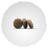 Josera MiniJunior         15 -  2