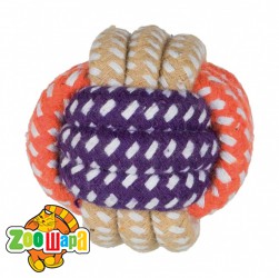 Trixie     6 (32810), (1111147055) -  1