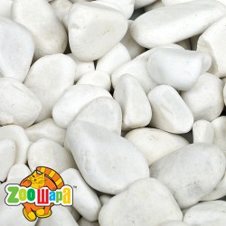 KW_Zone   . (20 ) (KW Zone  20), (1111145866) -  1