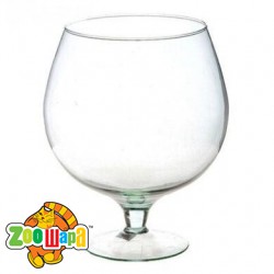 Aquarium Ukr -  2 (057-1/59248), (1111143789) -  1