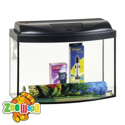    в߻ LED 32 ,PR241729 (PR241729), (1111160543) -  1