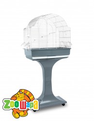 Fop    CHIARA    59*36*60 .10310013 (10310013), (1111162966) -  1