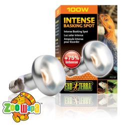 ExoTerra  S25/100W    (PT2138), (1111113812) -  1