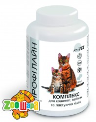  Բ   ,     . PR241876 (PR241876), (1111163219) -  1