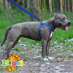 Bronzedog     Active    ,    M   45-56 .  2 . -  5