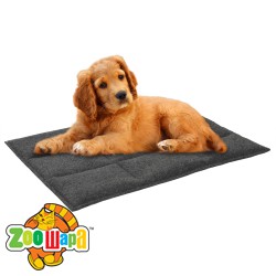 Bronzedog       ,  L  45*60*3 , () -  1