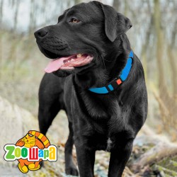 Bronzedog     Surf         .  S   25-33 .  1,6 . (. 50/6132/) -  2