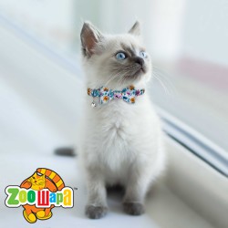 Bronzedog   Urban Folk        .  XS  8 .  4 . -  2