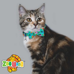 Bronzedog   Urban Folk        .  XS 
 8 . 
 4 . -  2