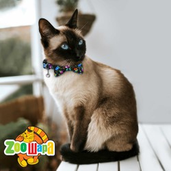 Bronzedog   Urban Folk        .  XS 
 8 . 
 4 . -  2