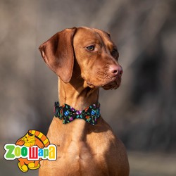 Bronzedog   Urban Folk        .  XS 
 8 . 
 4 . -  3