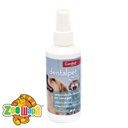 Candioli   125     -  1