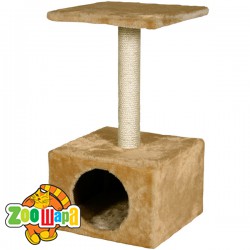 Flamingo  Sassiere ( )     303054,5 -  1