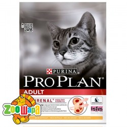 Pro Plan ()   10  -  1