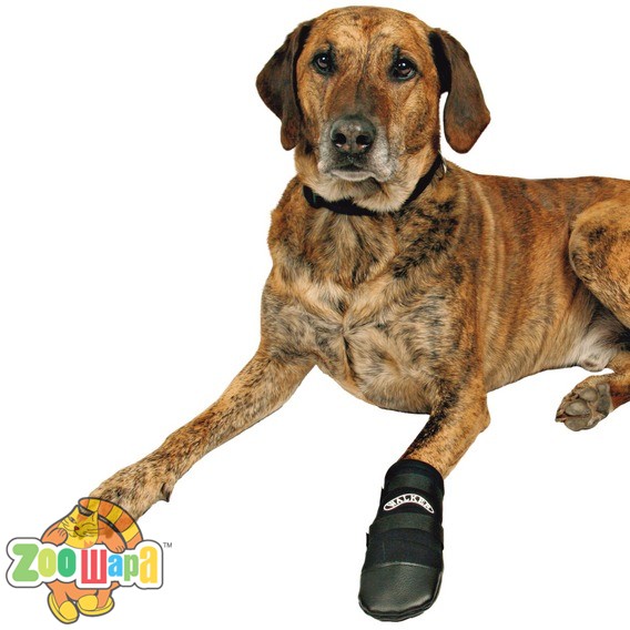 Trixie XXL защитные ботинки (1955), (12227)