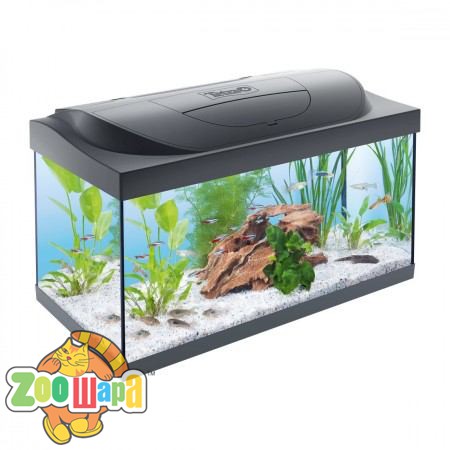 Tetra Акваріум Tetra Starter Line Tank LED чорний прямий 54л арт.256989 (256989), (1111144097)
