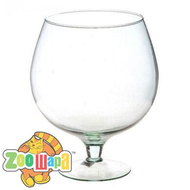 Aquarium Ukr Аквариум-бокал  5л (Д058-1/01210), (1111143790)