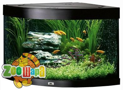 JUWEL Aquarium Аквариум TRIGON 190 черный LED освещение (16350/16300СПЕЦЦЕНА), (7075)