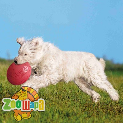 Trixie Развивающая игрушка диск-аппорт(резина)24см (33503), (1111127925)