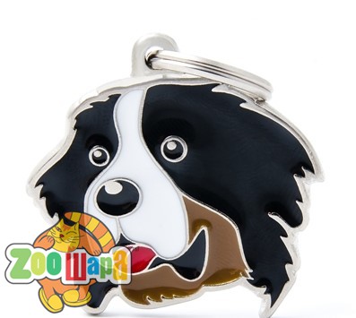 MY FAMILY Бернский зенненхунд FRIENDS (MF09), (1111137025)