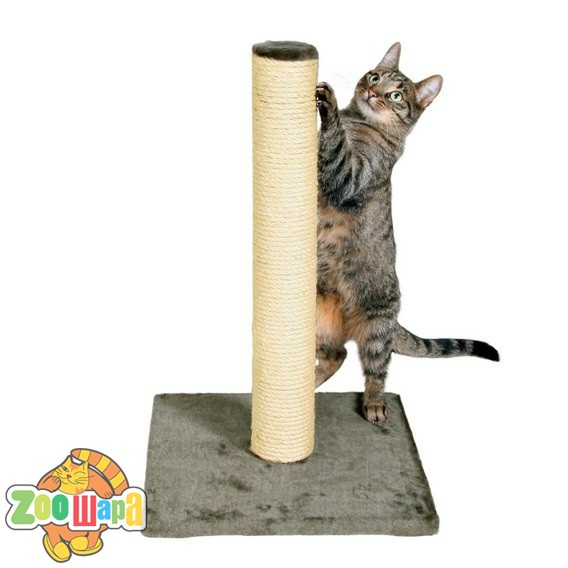 Trixie дряпка для кошек Parla (62 см) столбик серый (43332), (1111147527)