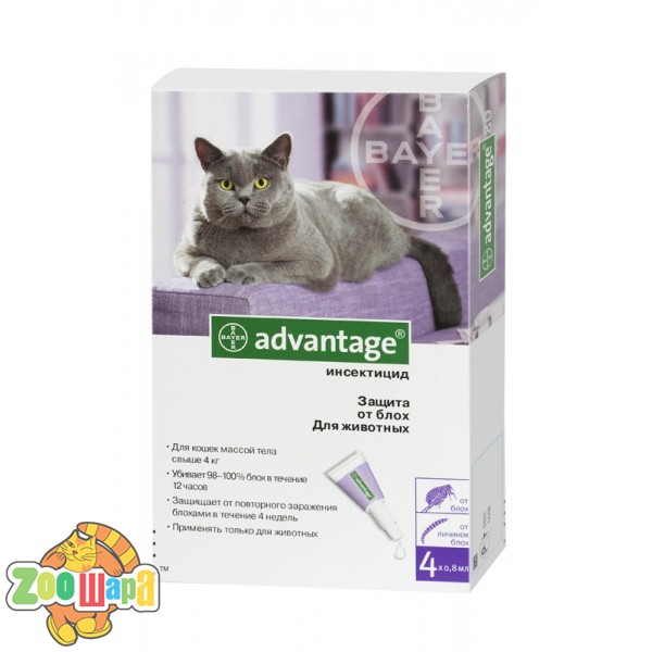 Bayer (Байер) Advantage 80 для котов более 4 кг, 1 пипетка