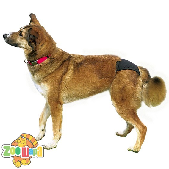 Trixie трусы защитные №4 50-59см (23494), (1111121079)