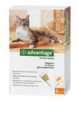 Bayer капли от блох Адвантейдж 40 котам и котятам до 4 кг