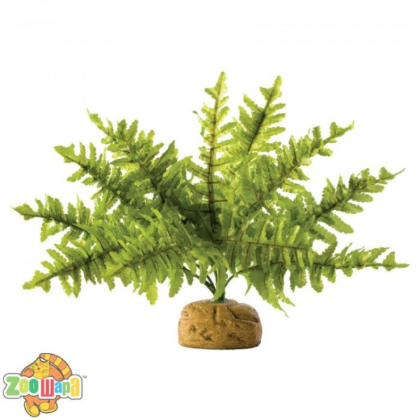 ExoTerra Растение подставка Boston Fern, small, арт PT2990. (PT2990), (1111122335)