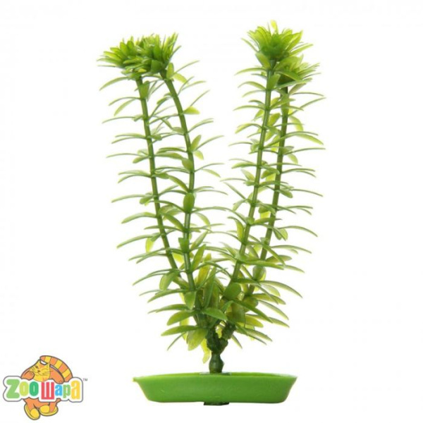 Marina Рослина Marina ANACHARIS акваріумна декоративна пластик 13см арт.PP503_pause (PP503), (1111112285)