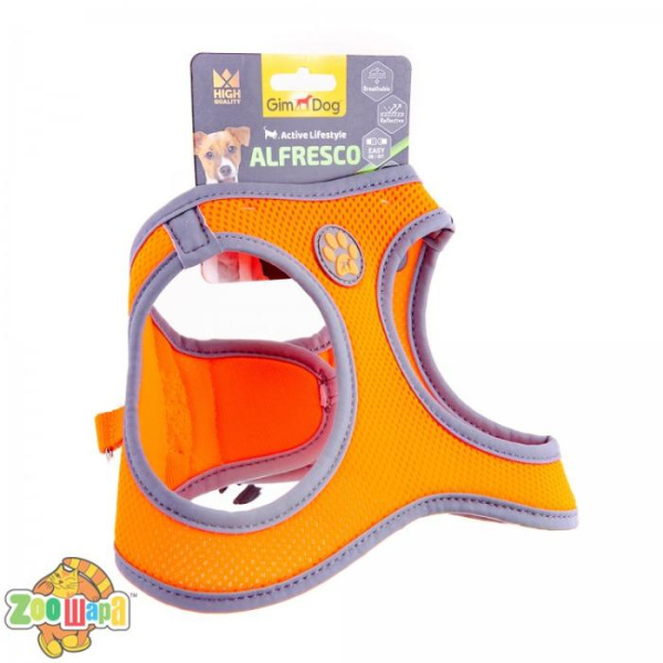 Gimpet Шлея Alfresco неопрен S 37-40см, оранжевый (080333704019), (1111163552)