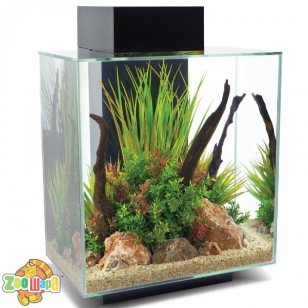 Fluval Аквариум EDGE 2.0 46L черный (15038), (1111149088)