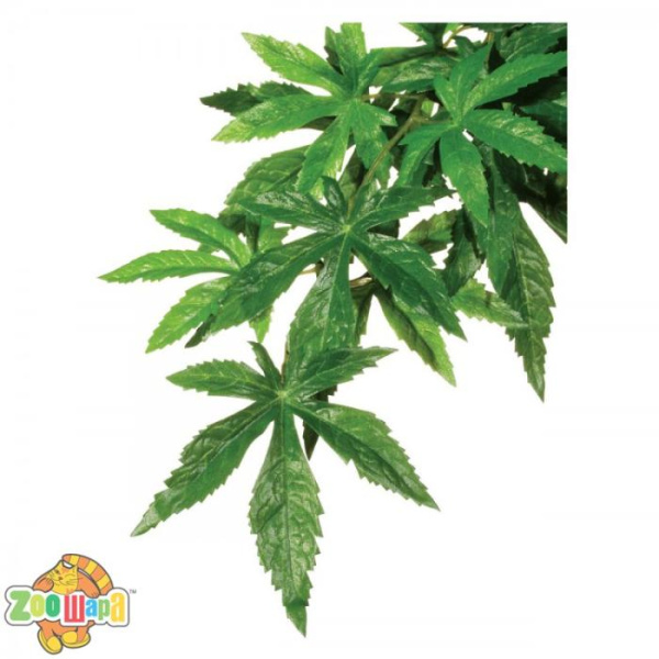 ExoTerra Растение шелк. ABULITON  среднее (PT3042), (1111113377)